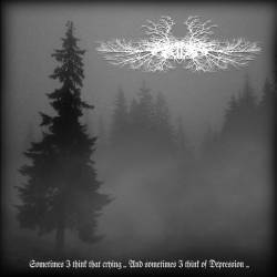 The Descent Of The Sun : Sometimes I think That Crying